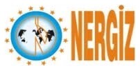 NERGİZ CABLE logo
